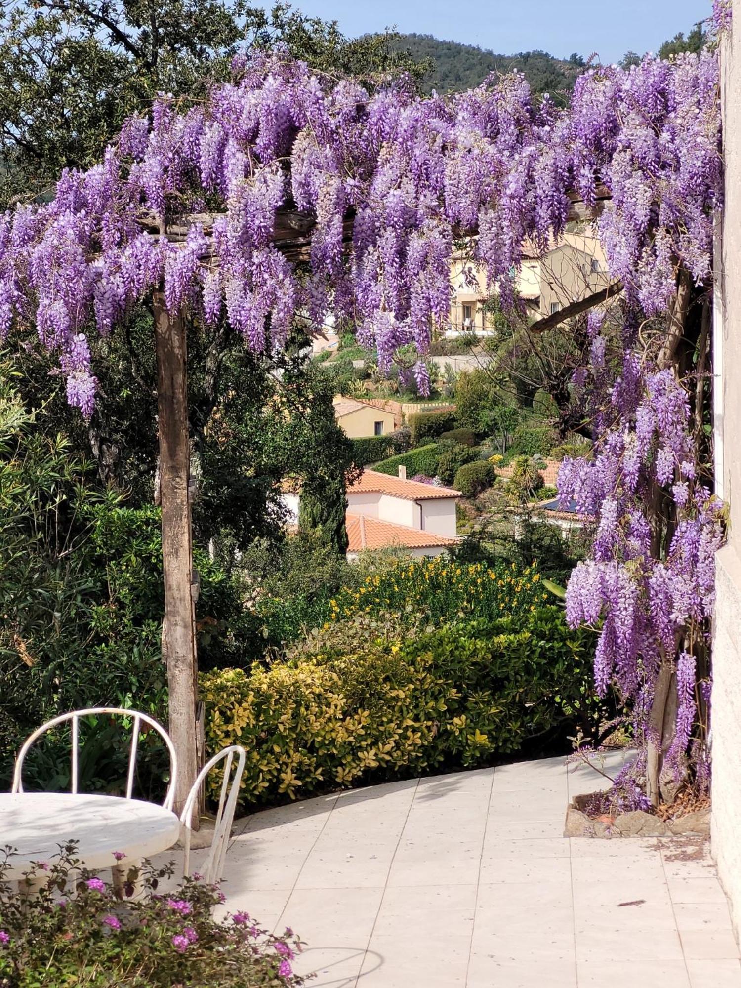 Appartement Dans En Rez De Jardin